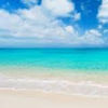 nicolevilard259